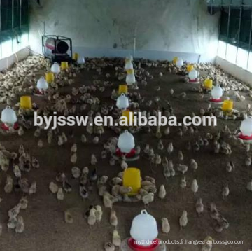 Meilleures mangeoires de volaille et des eaux pour les poulets (vente chaude)